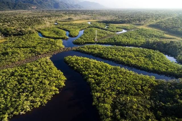 [Conteúdo] Amazônia, caminho para inovação