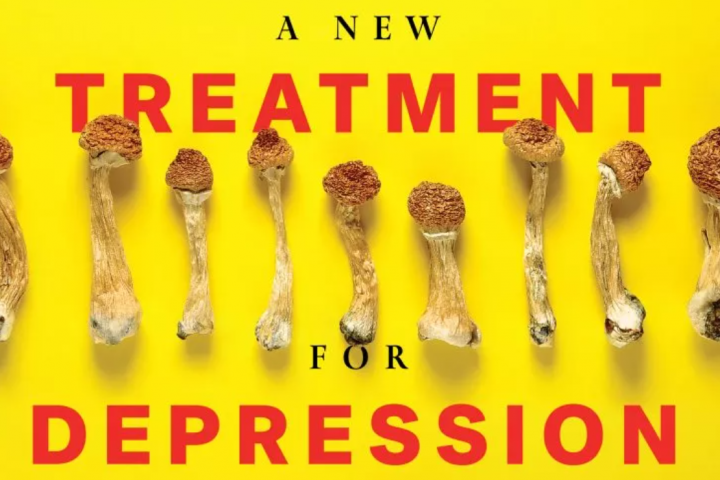 [Conteúdo] Cogumelos mágicos podem ser o maior avanço no tratamento da depressão desde o Prozac