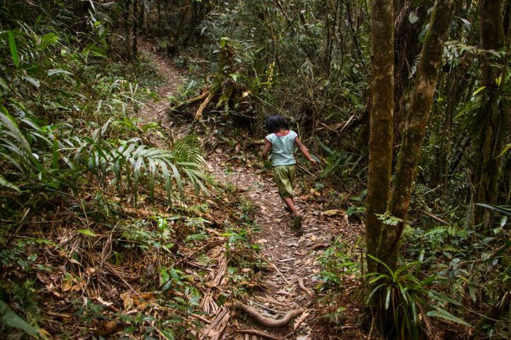 [Conteúdo] Os Guarani e o seu modo de ser caminhante